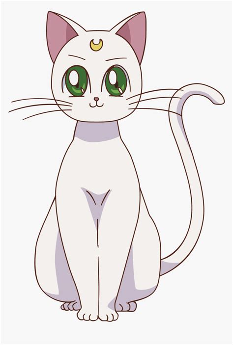 Artemis Sailor Moon Luna Sailor Jupiter Sailor Moon Artemis Sailor Moon Cats Hd Png