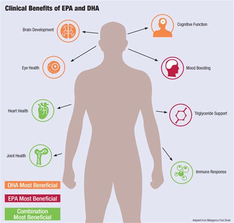 Benefits Of Omega 3 Supplements Advantages Of Omega 3 Fatty Acids