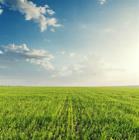 Green Agriculture Field And Sunset In Clouds Stock Image Image Of