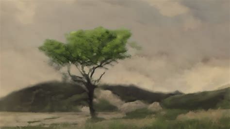 Nature's Beauty with Vibrant Clouds and a Lone Tree, the Golden Hour's