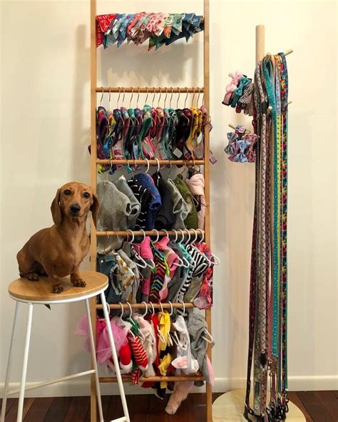 This Insta Dogs Kmart Hack Wardrobe Is Better Than Yours Better