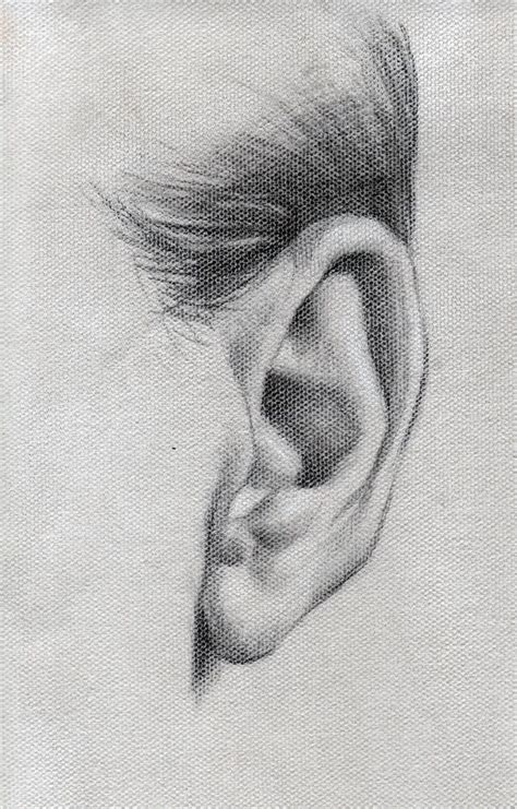 Ear Study By Abdonjromero Realistic Drawings Anatomy Art Pencil Art