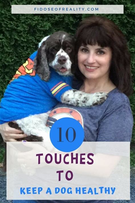 10 Touches To Keep A Dog Healthy Fidose Of Reality Dogs Dog Health