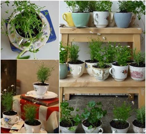 Handling a larger space is different. 24 Indoor Herb Garden Ideas to Look for Inspiration ...