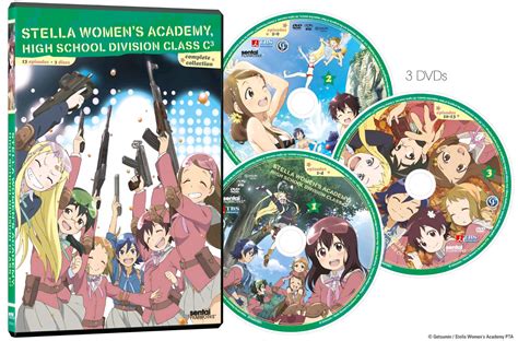 Buy Dvd Stella Womens Academy Complete Collection Dvd Box Set