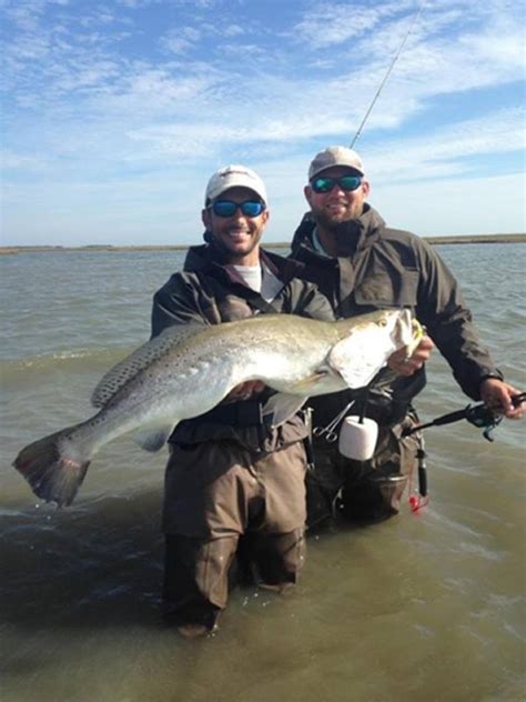 Record Speckled Trout Caught In Baffin Bay Yesterday 40 Inches
