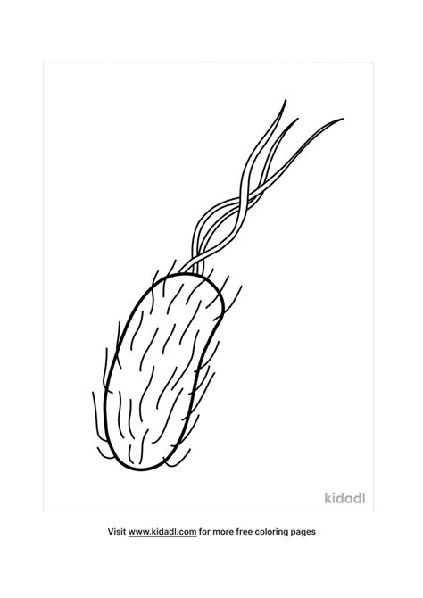 Free Bacteria Coloring Page Coloring Page Printables Kidadl