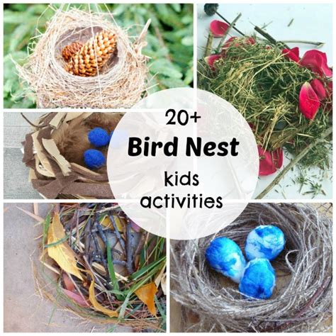 preschool bird nest activities preschool toolkit