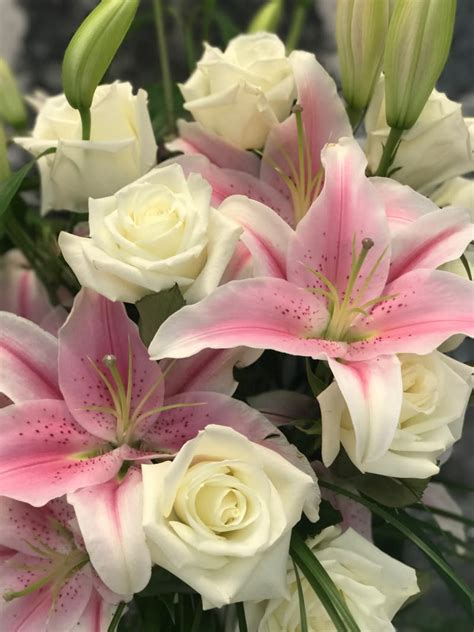 Stargazer Lilies With White Roses In Fort Lauderdale Fl Victoria