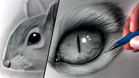 Think about how we use our eyes as human beings, we are able to see, interact and prepare for our journey in life. Top 100+ How To Draw A Realistic Fox Face - pixaby