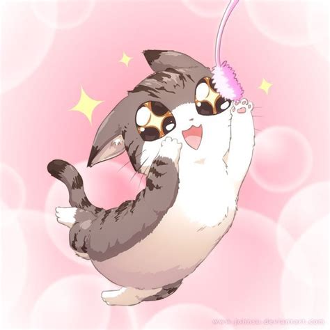 Pin By Fawnuh On Anime Cute Anime Cat Kawaii Cat Anime Cat