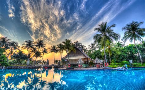 Palm Trees Pool Orange Sky Sunset 4k Wallpapers For