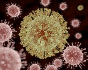 Infection with the zika virus is also called zika, zika fever or zika virus disease. Zika Virus - Antworten auf häufige Fragen