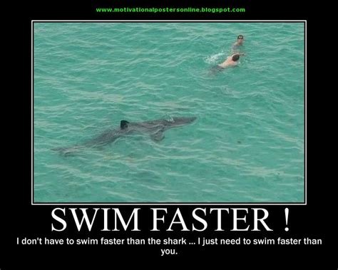funny shark quotes quotesgram