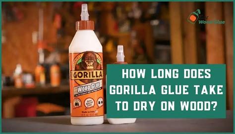 Guide On How Long Does Gorilla Glue Take To Dry On Wood