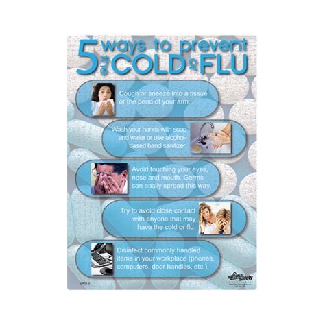 Cold Or Flu Prevention Safety Poster