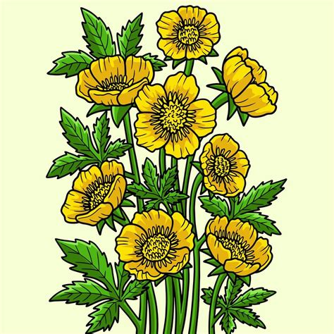Bulbous Buttercup Flower Colored Cartoon 10002592 Vector Art At Vecteezy