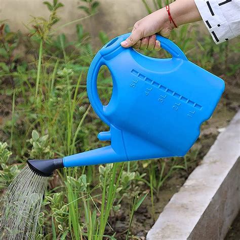 Watering Can 1 Gallon 5l With Sprinkler Head Large