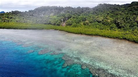 Freehold Land For Sale In Nukudmu Buca Bay Vanua Levu Fiji Viviun