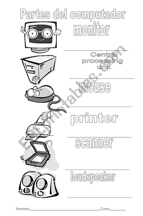 Parts Of Computer Esl Worksheet By Mpcardozo