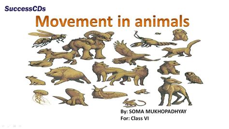 Movement In Animals Class 6 Science Lesson Ncert Cbse Lesson Youtube