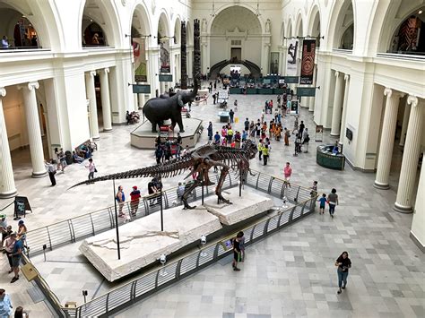 Visit The Field Museum Of Natural History In Chicagos Grant Park