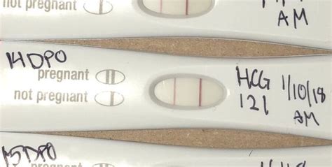 Picture Of Frer Test With Hcg Beta Babycenter