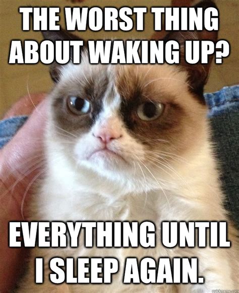 The Worst Thing About Waking Up Cat Meme Cat Planet Cat Planet