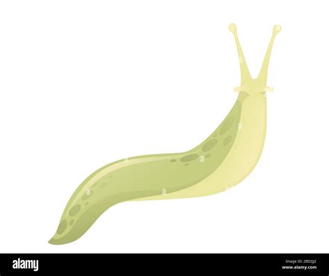 Green Slug Cartoon Animal Design Flat Vector Illustration Isolated On