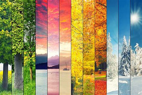 Solve Four Seasons Jigsaw Puzzle Online With Pieces