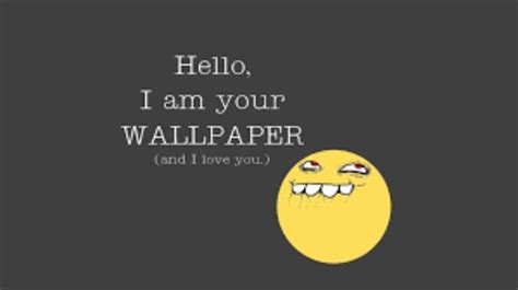 Funny Memes Wallpapers Wallpaper Cave