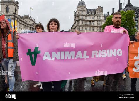 London England Uk 22nd July 2023 Animal Rights Group Animal Rising