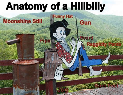 The Carpetbagger The Hillbilly