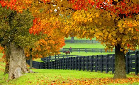 Autumn Farm Wallpapers Top Free Autumn Farm Backgrounds Wallpaperaccess