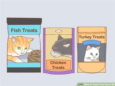 What kind of tricks can you teach a cat? 3 Ways to Teach Your Cat to Sit - wikiHow