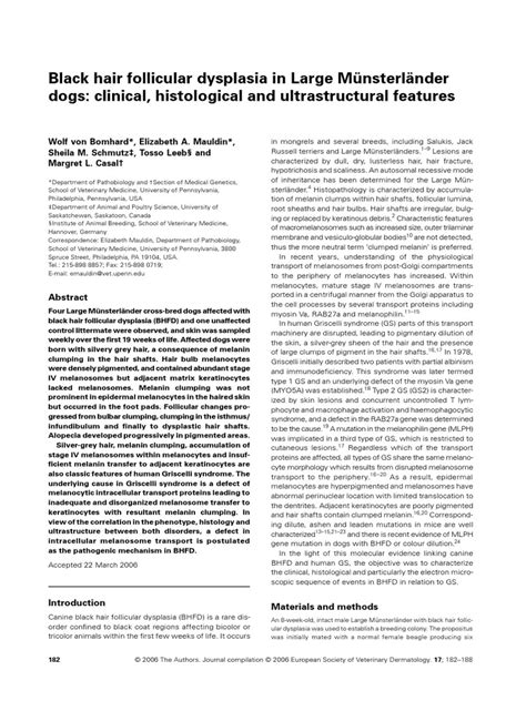 Black Hair Follicular Dysplasia In Large Münsterländer Dogs Clinical