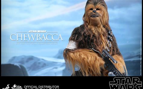 Chewbacca Single 16th Scaled Action Figure From Hot Toys Revealed