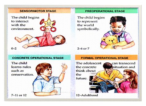 Piaget S Cognitive Development Stages