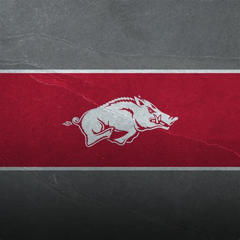 The razorbacks played their home games at donald w. Arkansas Razorbacks Wallpapers (72+ images)