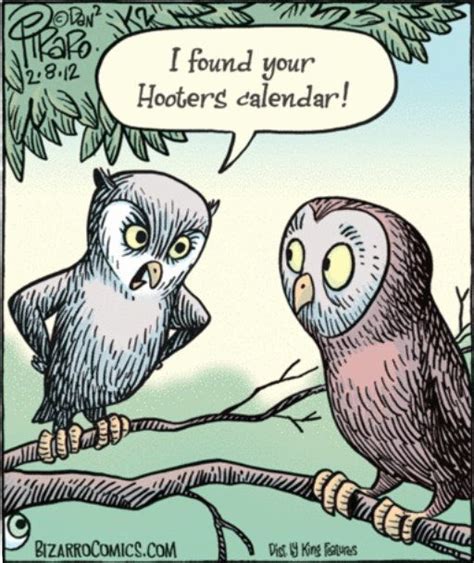 Owl Trouble Funny Cartoons Bizarro Comic Cartoon Jokes
