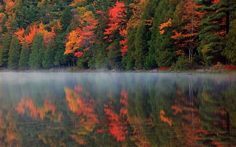 Autumn Nature Forest River Reflection Mist Wallpaper Nature And