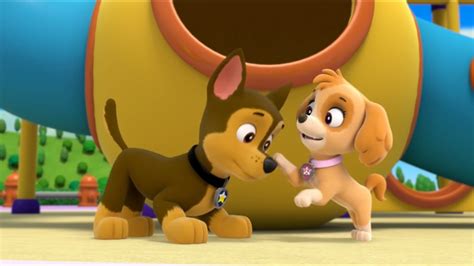 Image Chase And Skye 29 Paw Patrol Fanon Wiki Fandom Powered Free Hot