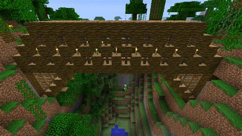 Jungle Bridge Minecraft Map