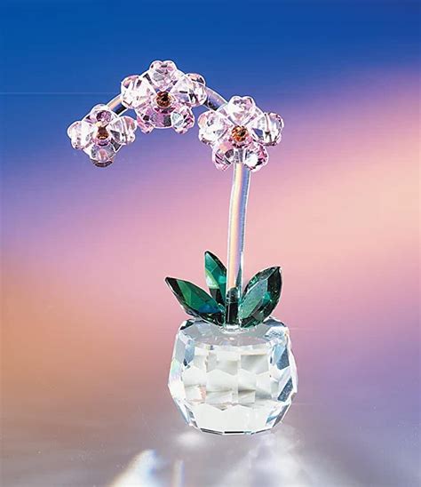 Crystal Orchid