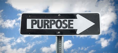 Catalyst | How Can You Justify Brand Purpose? Through Sales Performance.