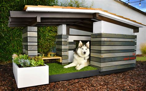 Dog House Ideas For The Special Pup In Your Life