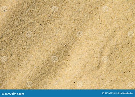 Sand Texture Sandy Beach For Background Stock Photo Cartoondealer