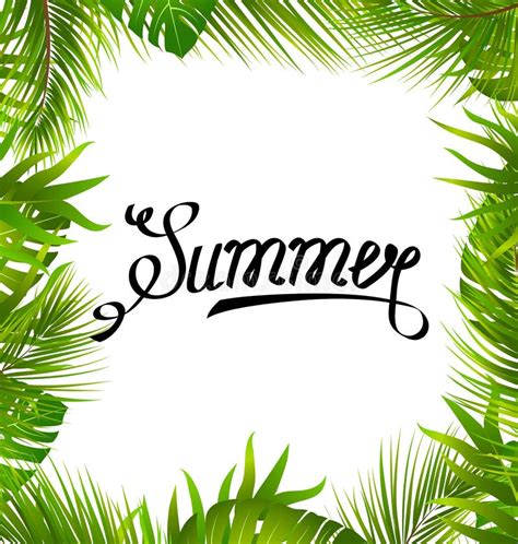 Lettering Text Summer With Border Made In Palm Leaves Stock Vector