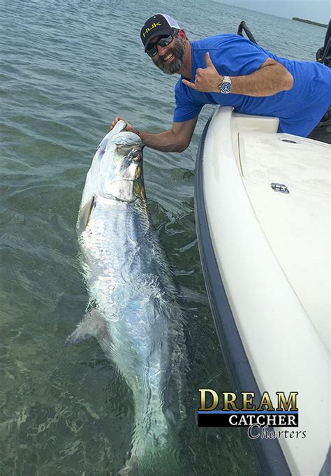 Tarpon Season Begins Florida Keys Fishing Report