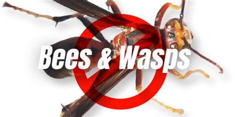 Cory and amber are very knowledgeable, efficient, and friendly. Home - Bug Off Pest Control